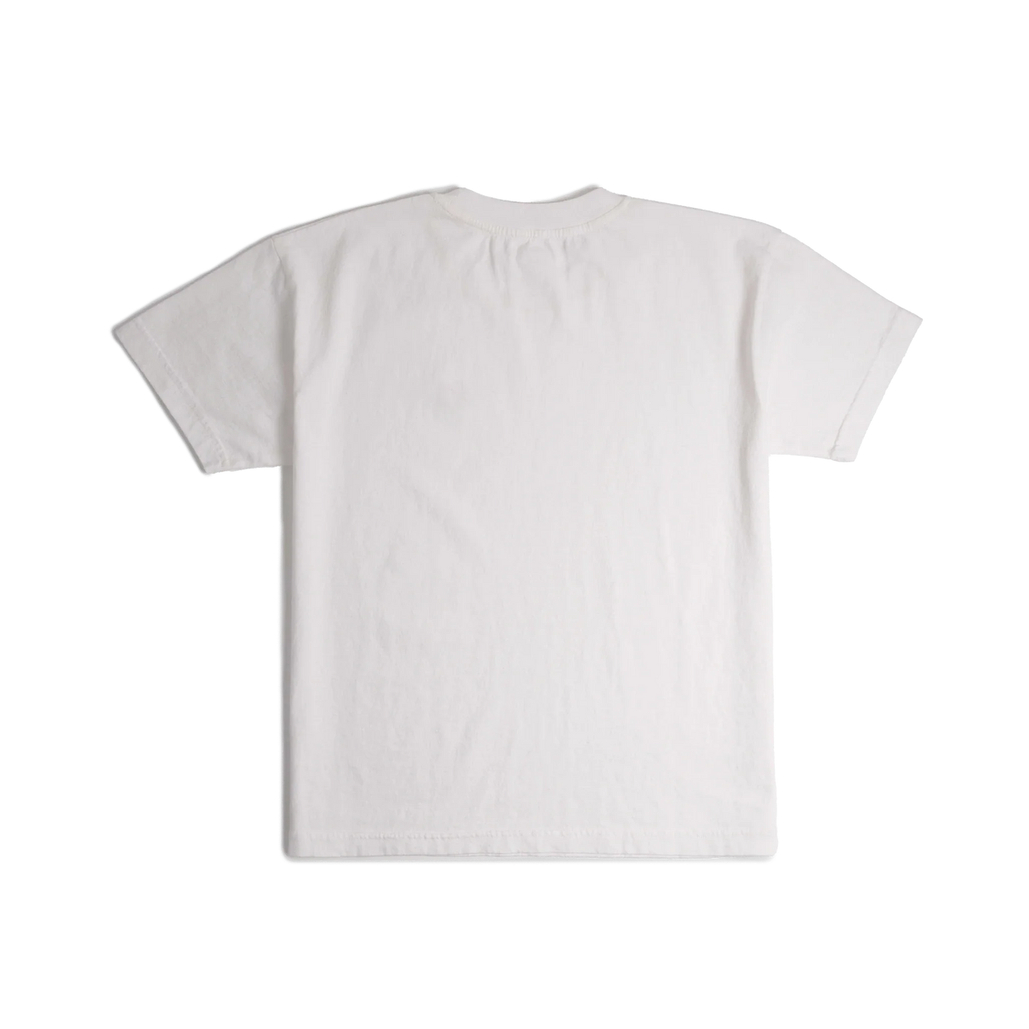 Back image of Topo Designs x Soft Goods Label Tee in "White"